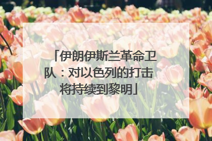 伊朗伊斯兰革命卫队：对以色列的打击将持续到黎明