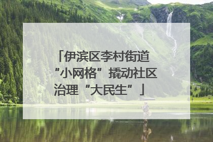 伊滨区李村街道 “小网格”撬动社区治理“大民生”