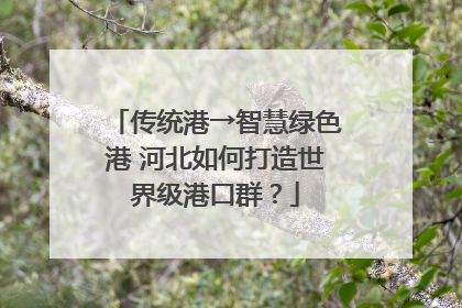 传统港→智慧绿色港 河北如何打造世界级港口群？
