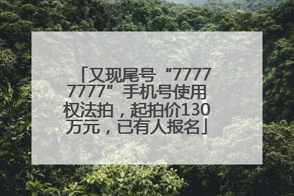 又现尾号“77777777”手机号使用权法拍，起拍价130万元，已有人报名