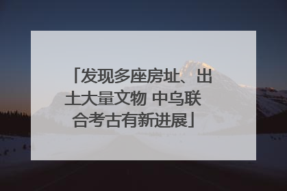 发现多座房址、出土大量文物 中乌联合考古有新进展