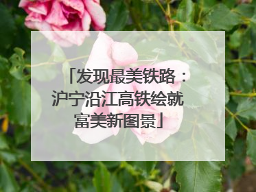 发现最美铁路：沪宁沿江高铁绘就富美新图景