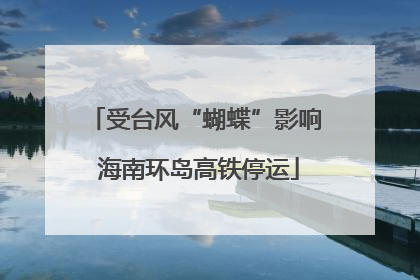 受台风“蝴蝶”影响 海南环岛高铁停运