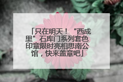 只在明天！“西成里”石库门系列套色印章限时亮相思南公馆，快来盖章吧