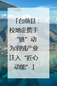 台前县：校地企携手“链”动 为羽绒产业注入“匠心动能”
