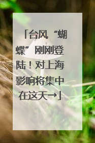 台风“蝴蝶”刚刚登陆！对上海影响将集中在这天→