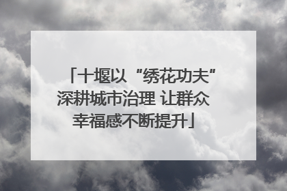 十堰以“绣花功夫”深耕城市治理 让群众幸福感不断提升