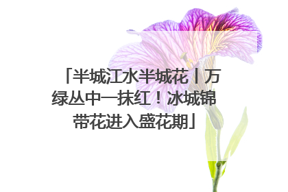 半城江水半城花丨万绿丛中一抹红！冰城锦带花进入盛花期