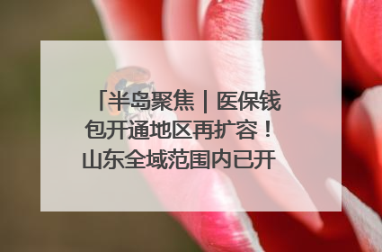 半岛聚焦｜医保钱包开通地区再扩容！山东全域范围内已开通，有何用处？如何操作？速戳→