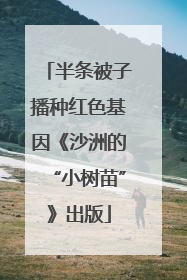 半条被子播种红色基因《沙洲的“小树苗”》出版