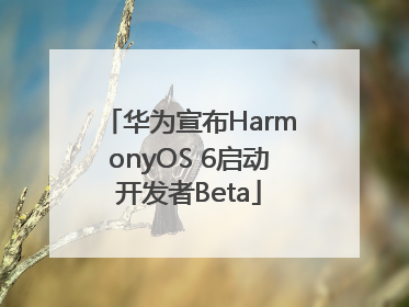 华为宣布HarmonyOS 6启动开发者Beta