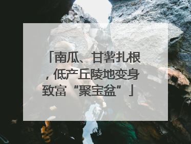 南瓜、甘薯扎根，低产丘陵地变身致富“聚宝盆”