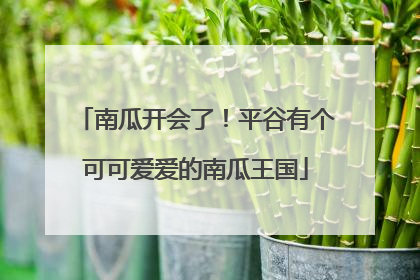 南瓜开会了！平谷有个可可爱爱的南瓜王国