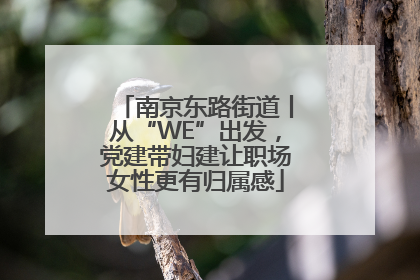 南京东路街道丨从“WE”出发，党建带妇建让职场女性更有归属感