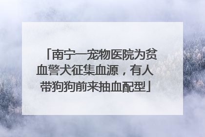 南宁一宠物医院为贫血警犬征集血源，有人带狗狗前来抽血配型