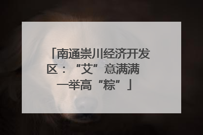 南通崇川经济开发区：“艾”意满满 一举高“粽”