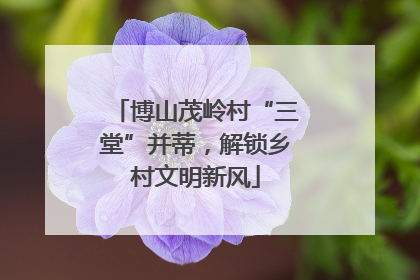 博山茂岭村“三堂”并蒂，解锁乡村文明新风