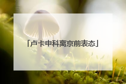 卢卡申科离京前表态