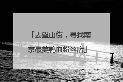 去望山街，寻找南京最美鸭血粉丝店