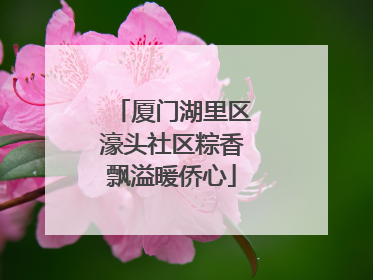 厦门湖里区濠头社区粽香飘溢暖侨心