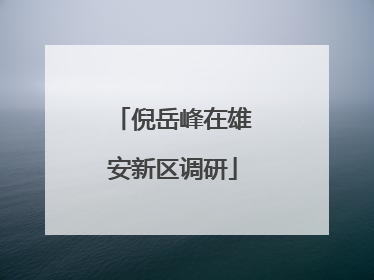 倪岳峰在雄安新区调研
