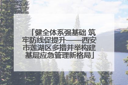 健全体系强基础 筑牢防线促提升——西安市莲湖区多措并举构建基层应急管理新格局