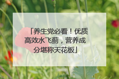 养生党必看！优质高效水飞蓟，营养成分堪称天花板