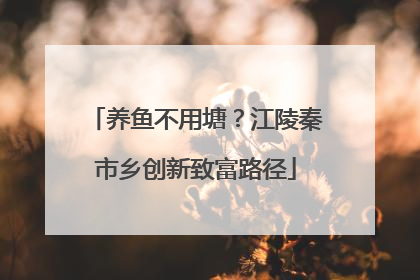 养鱼不用塘？江陵秦市乡创新致富路径