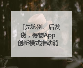 先鉴别、后发货，得物App创新模式推动消费正品化升级