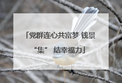 党群连心共富梦 钱景 “集” 结幸福力