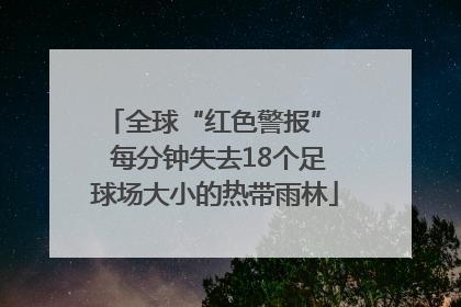 全球“红色警报”  每分钟失去18个足球场大小的热带雨林