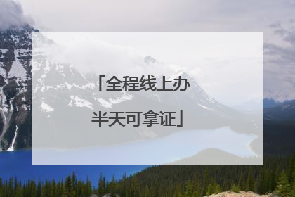 全程线上办 半天可拿证