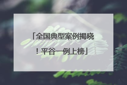 全国典型案例揭晓！平谷一例上榜