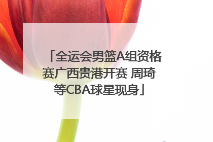 全运会男篮A组资格赛广西贵港开赛 周琦等CBA球星现身