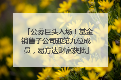公募巨头入场！基金销售子公司迎第九位成员，易方达财富获批