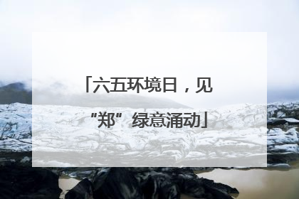六五环境日，见“郑”绿意涌动