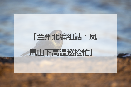兰州北编组站：凤凰山下高温巡检忙