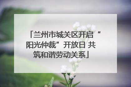 兰州市城关区开启“阳光仲裁”开放日 共筑和谐劳动关系