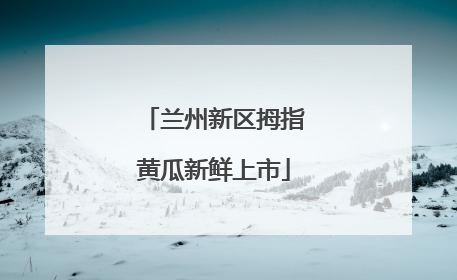 兰州新区拇指黄瓜新鲜上市