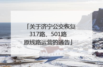 关于济宁公交恢复317路、501路原线路运营的通告