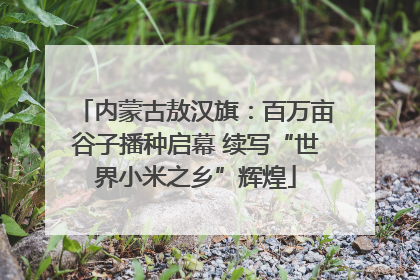 内蒙古敖汉旗：百万亩谷子播种启幕 续写“世界小米之乡”辉煌
