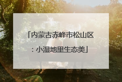 内蒙古赤峰市松山区：小湿地里生态美