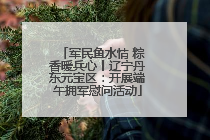 军民鱼水情 粽香暖兵心丨辽宁丹东元宝区：开展端午拥军慰问活动