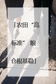农田“高标准” 粮仓根基稳