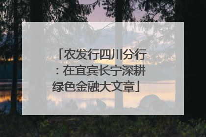 农发行四川分行：在宜宾长宁深耕绿色金融大文章