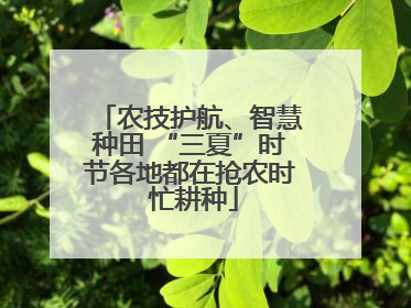 农技护航、智慧种田 “三夏”时节各地都在抢农时 忙耕种