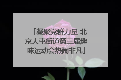 凝聚党群力量 北京大屯街道第三届趣味运动会热闹非凡