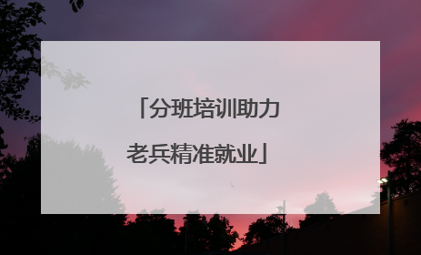 分班培训助力老兵精准就业