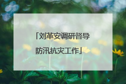 刘革安调研督导防汛抗灾工作