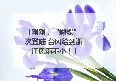 刚刚，“蝴蝶”二次登陆 台风给到浙江风雨不小！